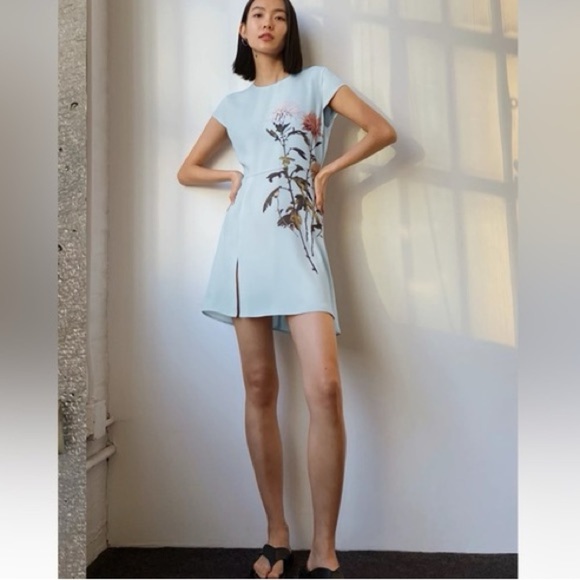 Aritiza Babaton Hamptons Mini Dress (D10) - Picture 4 of 9